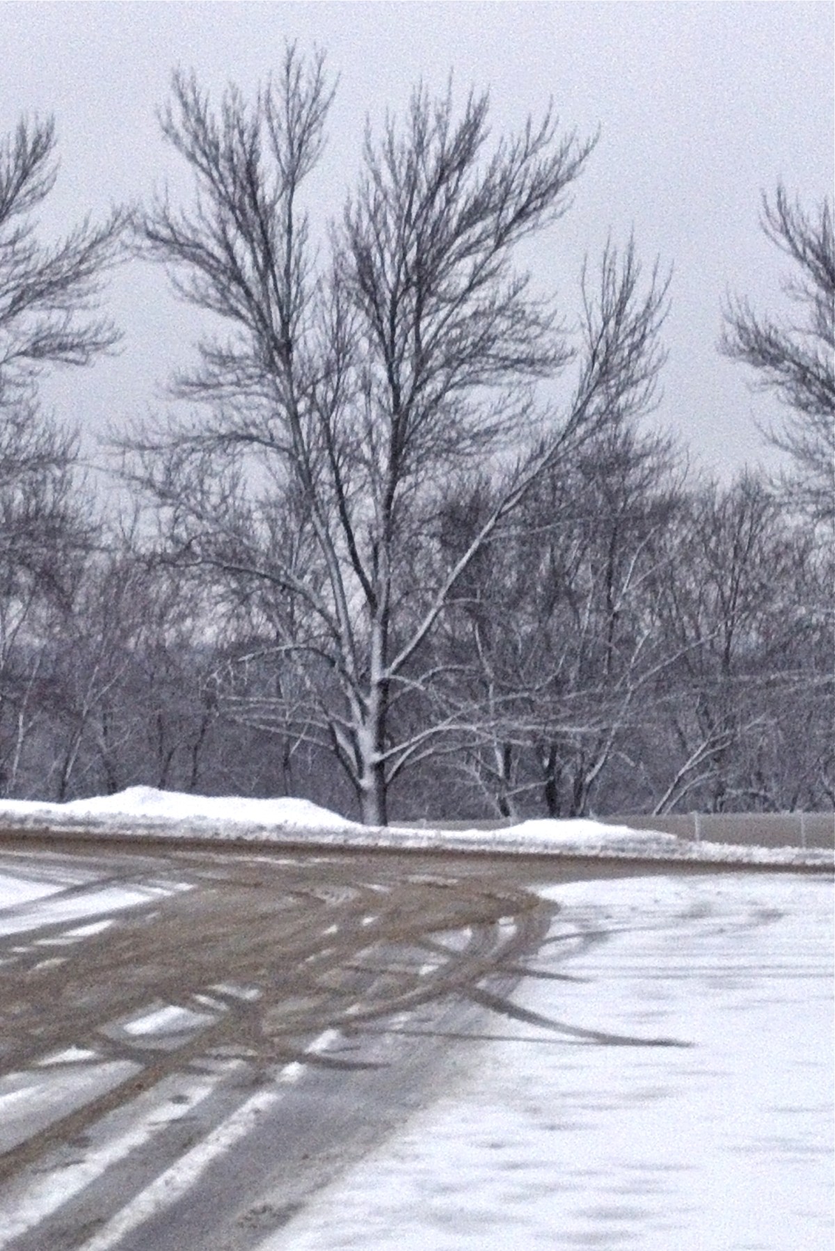 2013-02-26_17-12-19_254